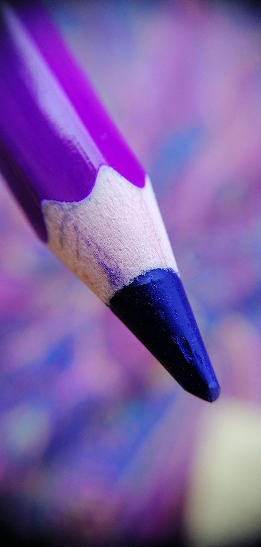 aleksandratambovtseva color pencil 5567819 1920